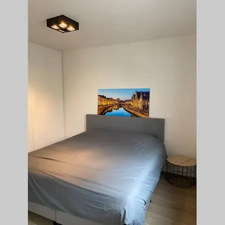 Schitterend Nieuwbouw In Gante